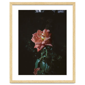 Romantic by Laurenrfphoto