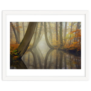 Bent trees in autumn by Martin and Yen