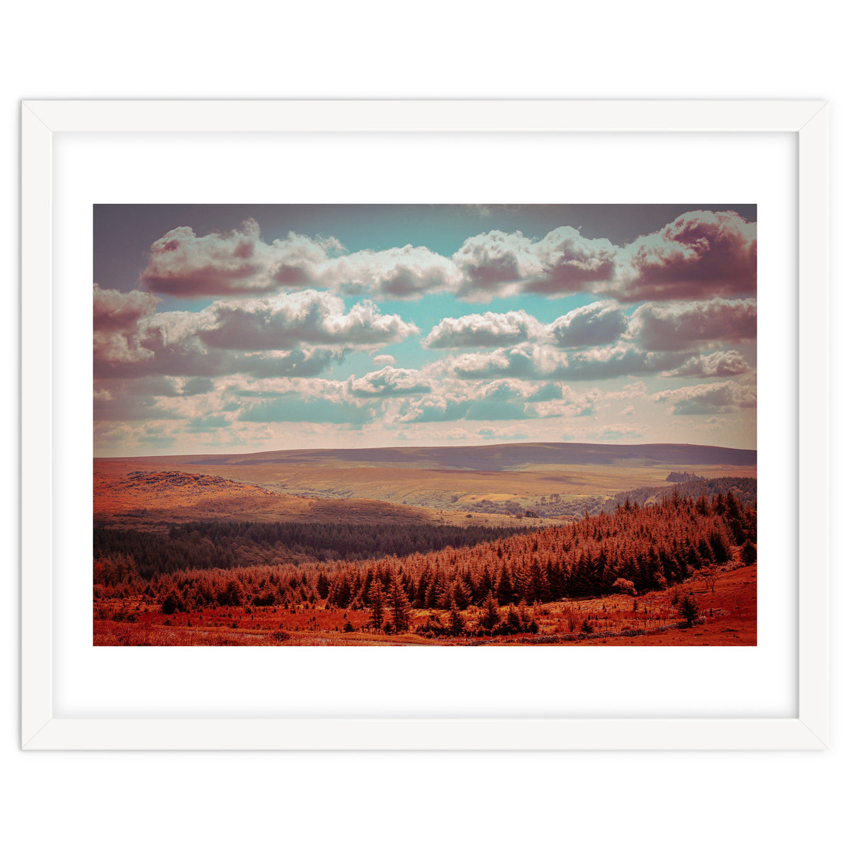 Dartmoor Forest
