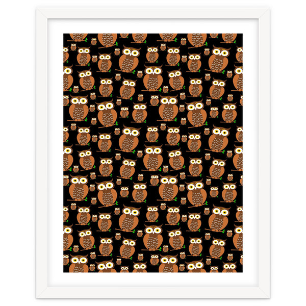 Owls