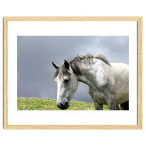White Horse by Alexey
