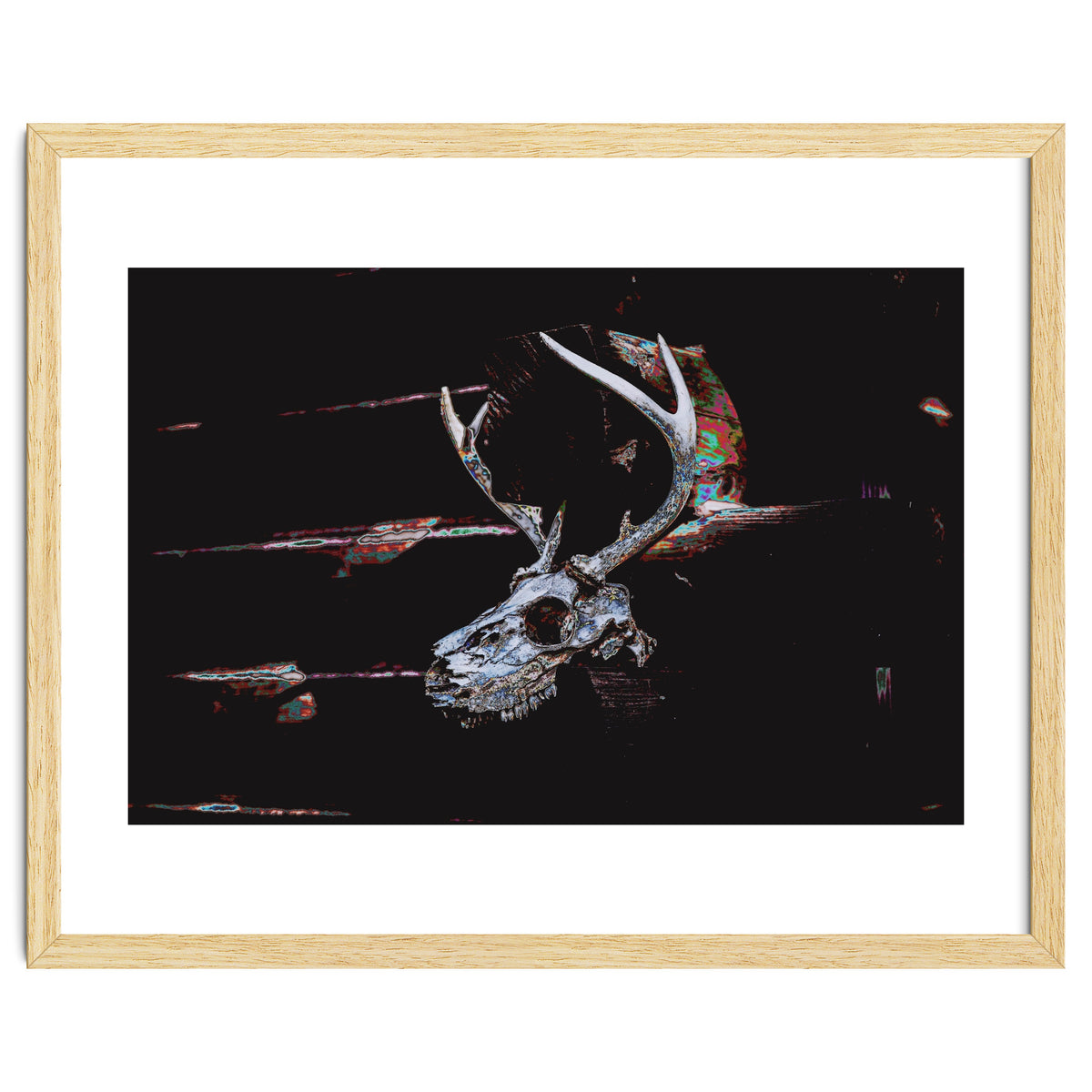 Deer Skull