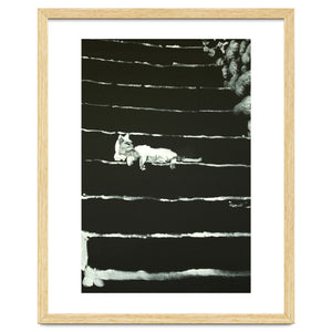 Cat On Stairs by pechane