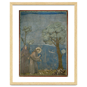 Saint Francis of Assisi preaching to the birds. Giotto. GIOTTO DE BONDONE (1266-1337). by Album