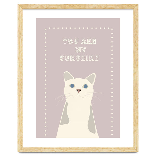 SUNSHINE CAT