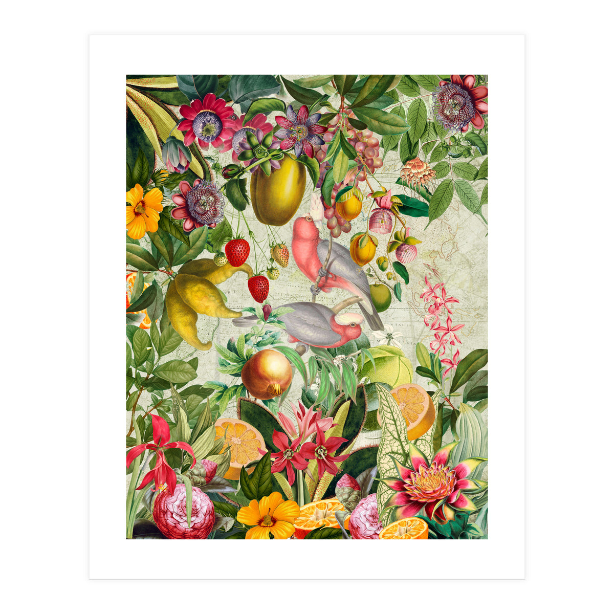 Pink Cockatoo vintage jungle (Print Only)