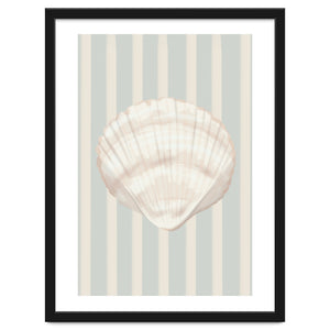 Sea shell by Lisen Vennesland
