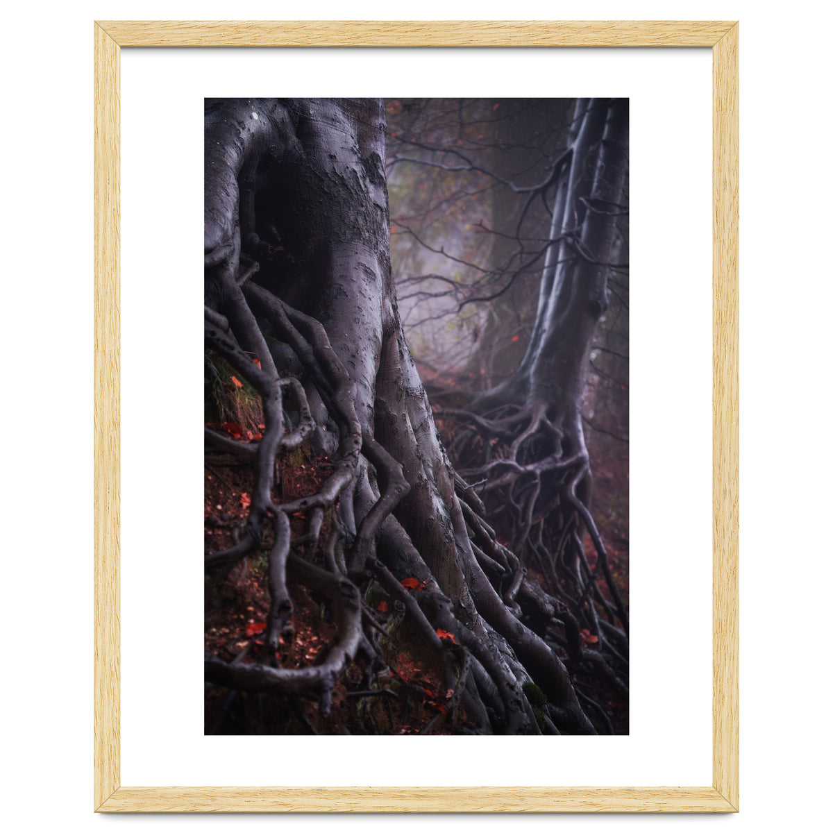 Tree roots