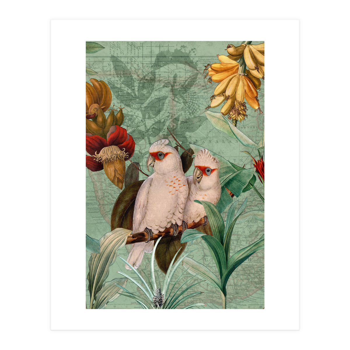 Green Cockatoo Exotic Bird Jungle (Print Only)