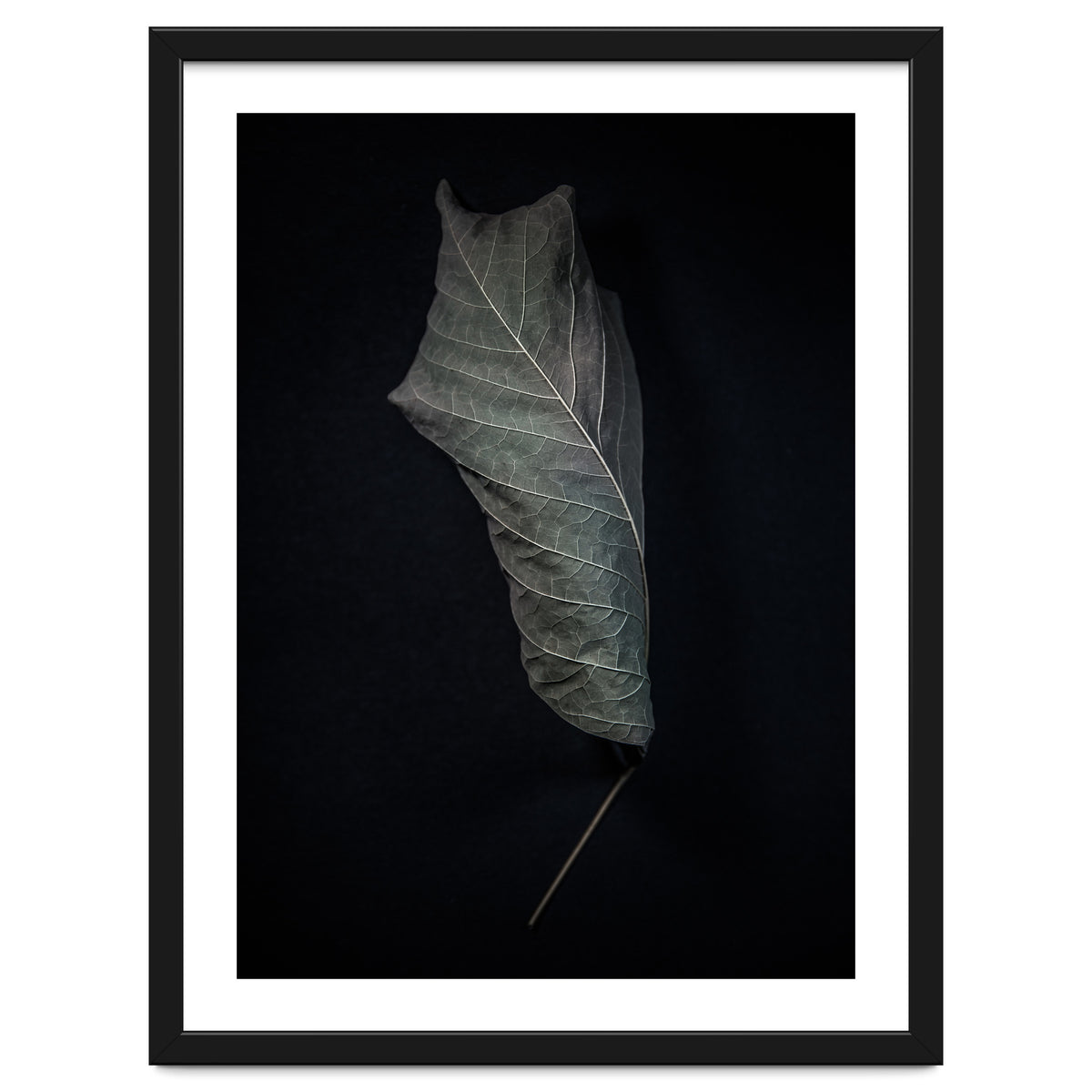 Leaves No 3 Color Version