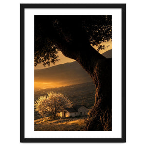 The Hill by Omohau Motsoane