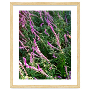 Lavender Flowers by skyeaglephotography