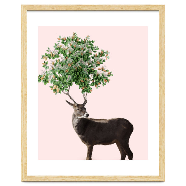 One With Nature V2