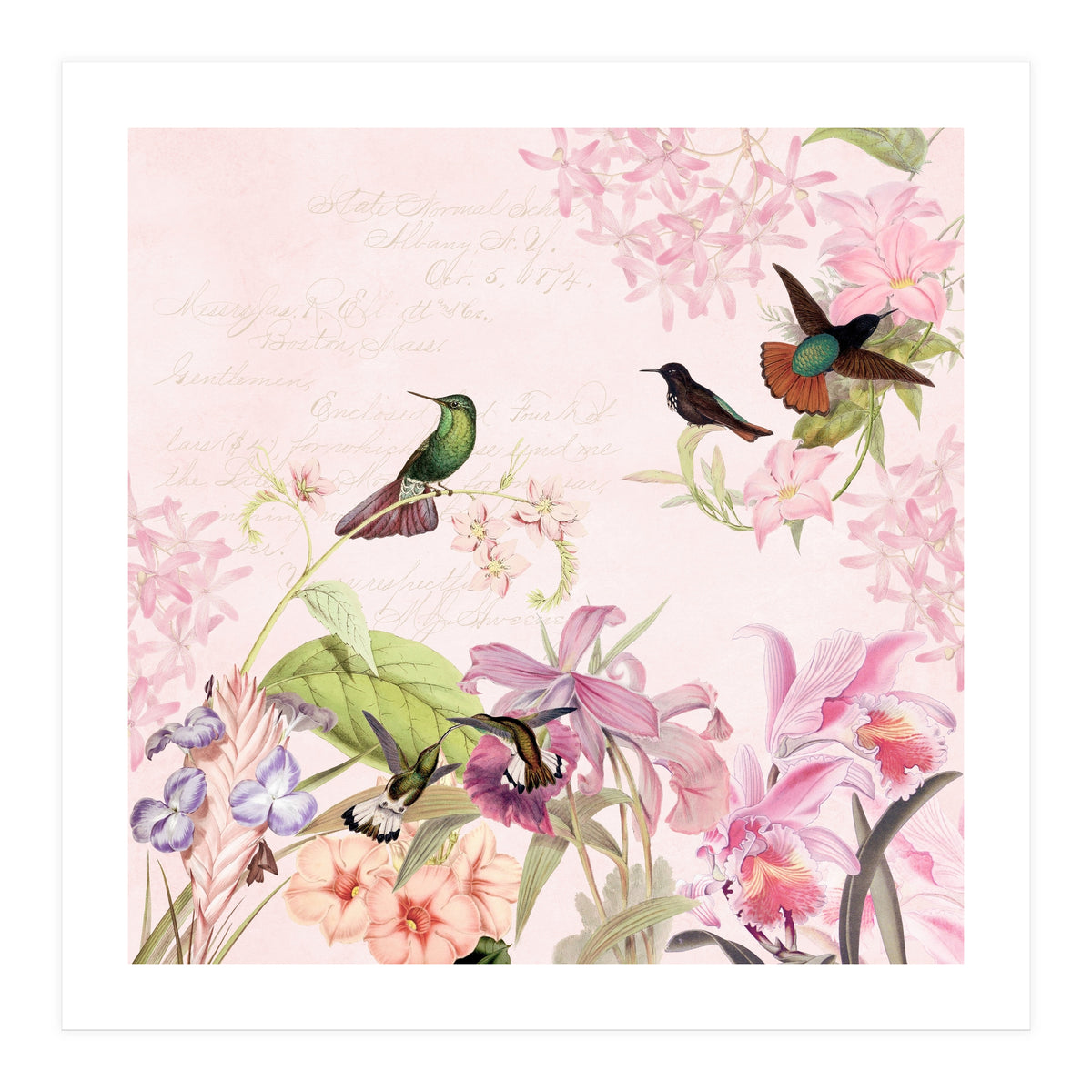 Hummingbirds in Flower Jungle (Print Only)
