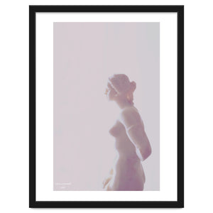 Fading Venus by Celeste Groenewald