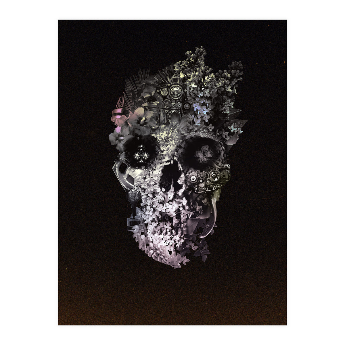 Metamorphosis (Print Only)