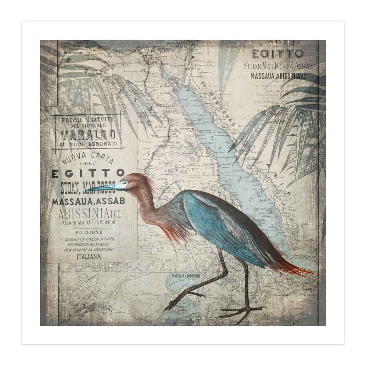 Egypt Heron (Print Only)