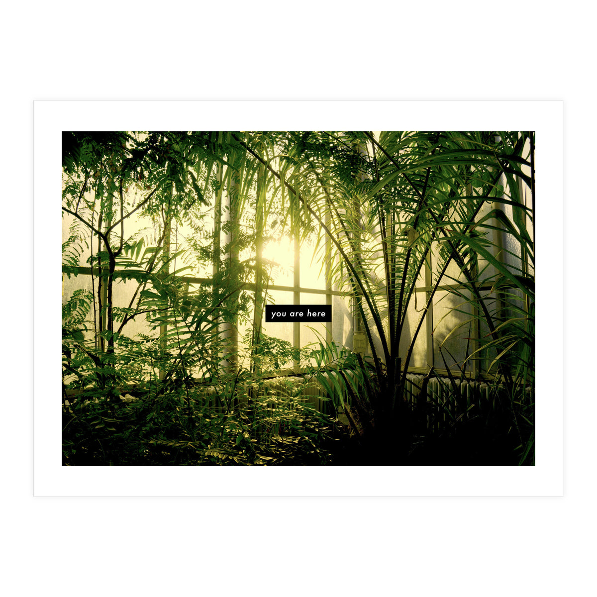 you are here - Nature Photography - (Print Only)