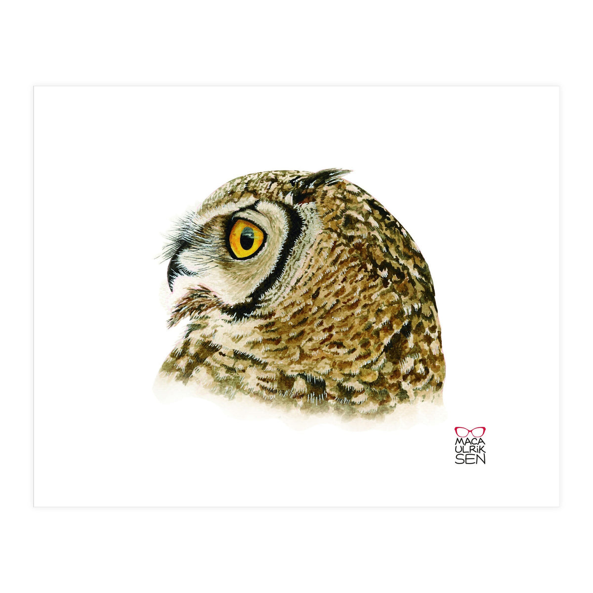 Lesser horned owl (Print Only)