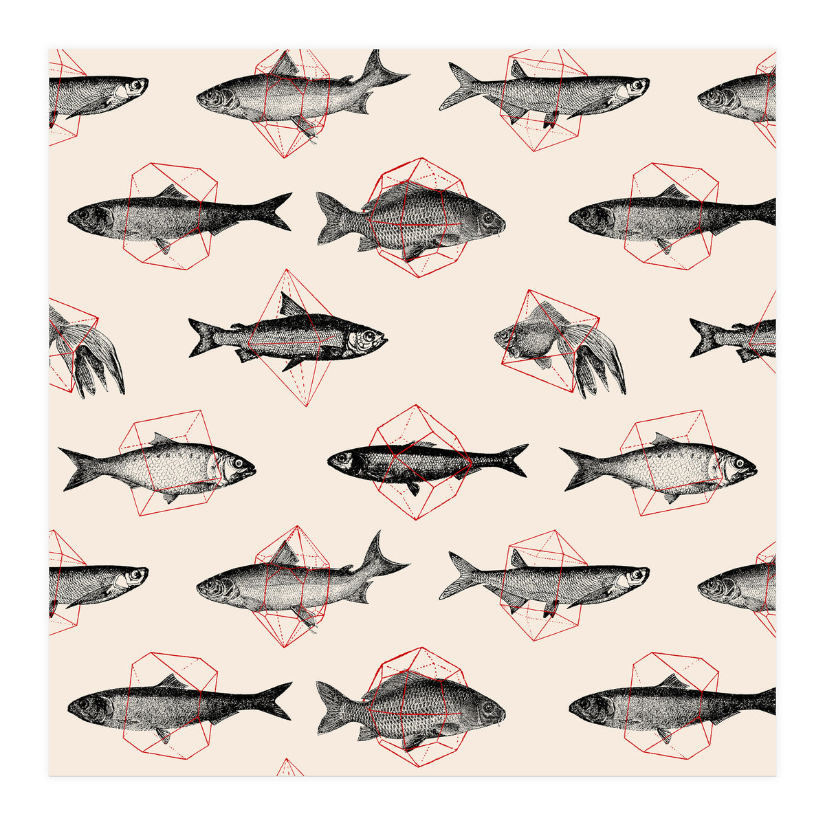 Fish In Geometrics (Print Only)
