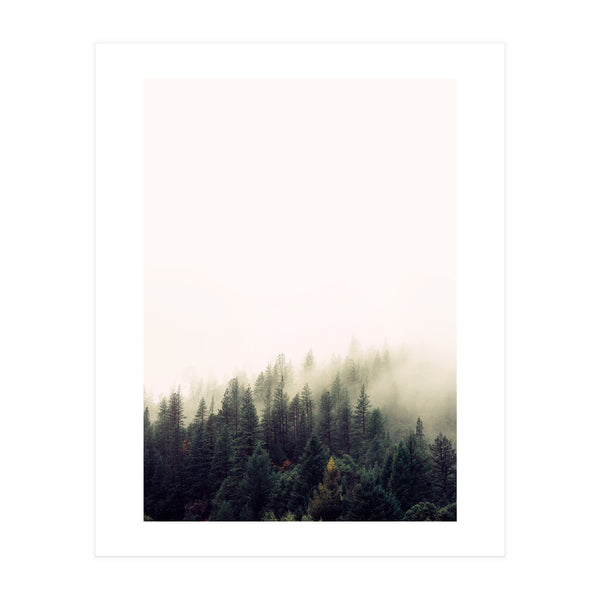 33 (Print Only)