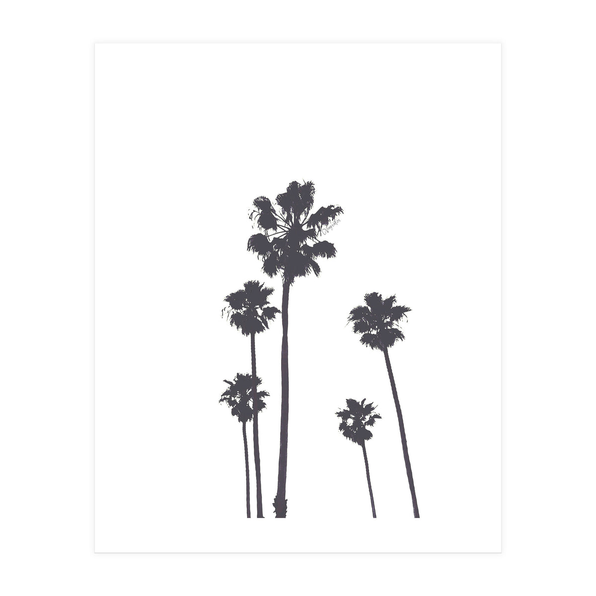Palms & Sunset-Minimal B&W 2 (Print Only)