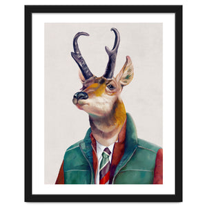 Pronghorn Deer by Animal Crew