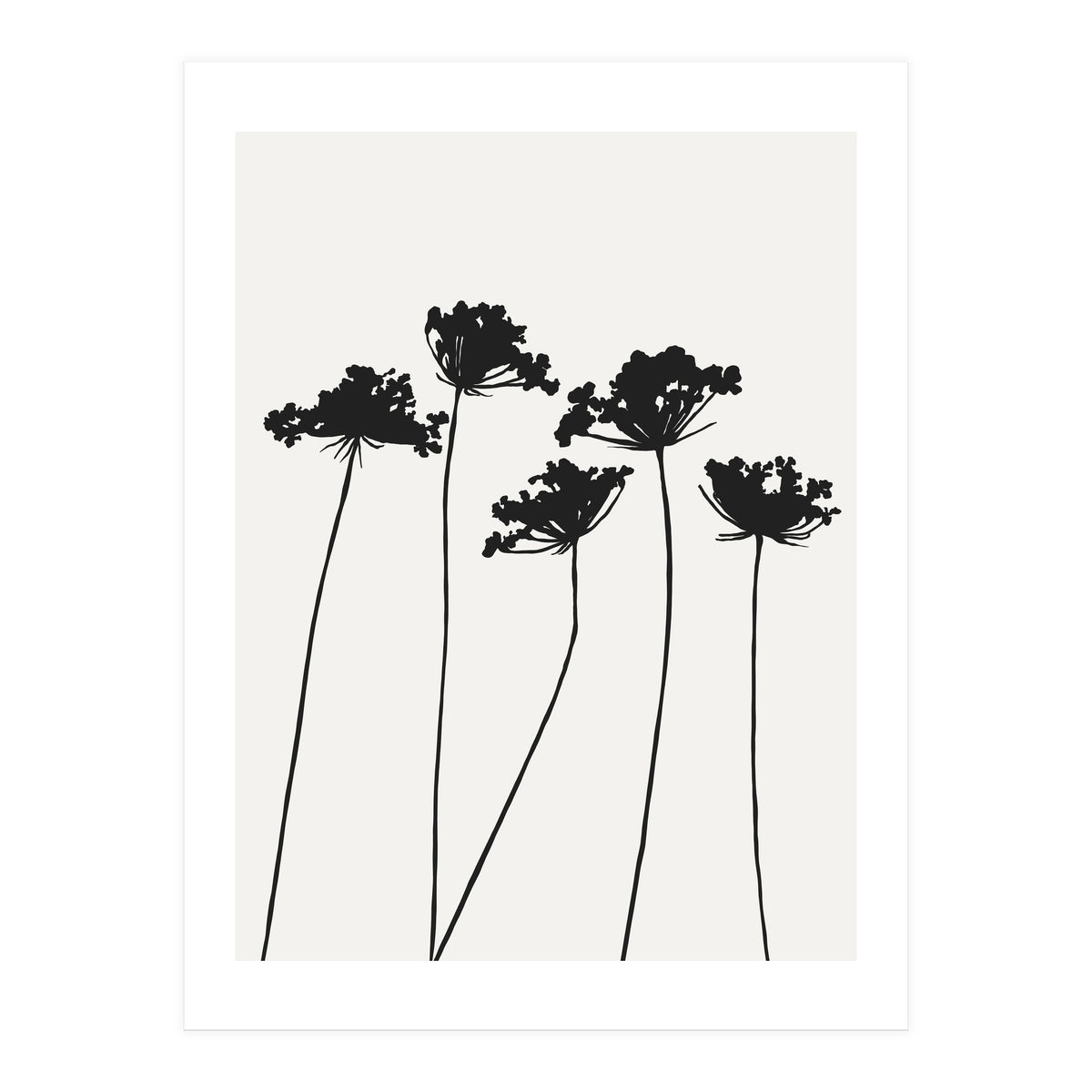 Shadow (Print Only)