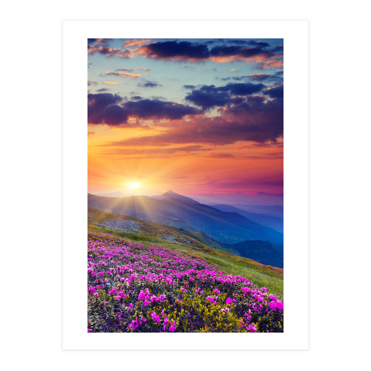 Nature (Print Only)