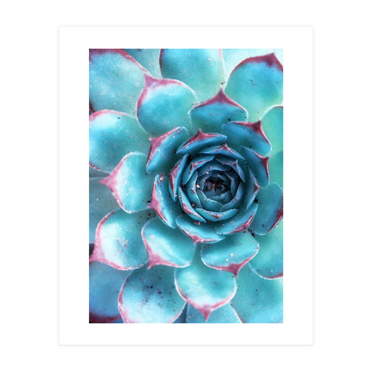68a (Print Only)