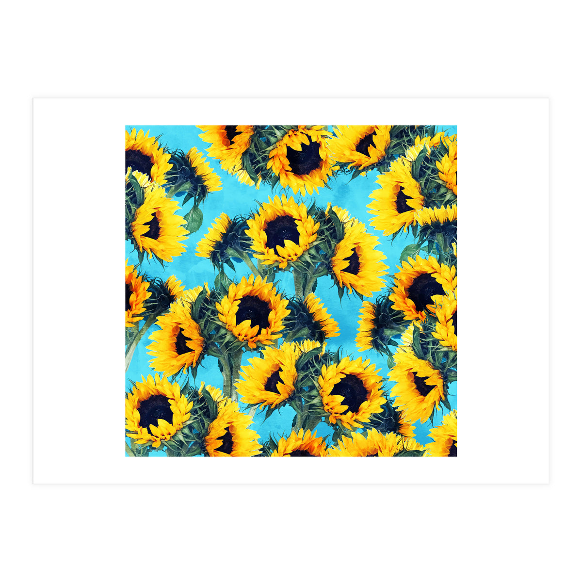 Sunflowers & Sky (Print Only)