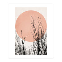 Sunset Dreams Rose (Print Only)