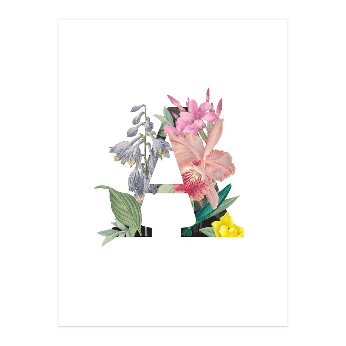 Letter A (Print Only)