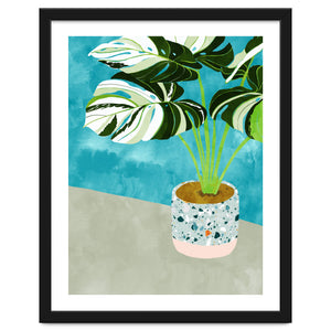 Variegated Monstera by 83 Oranges