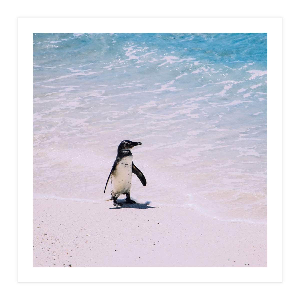 Beach (Print Only)