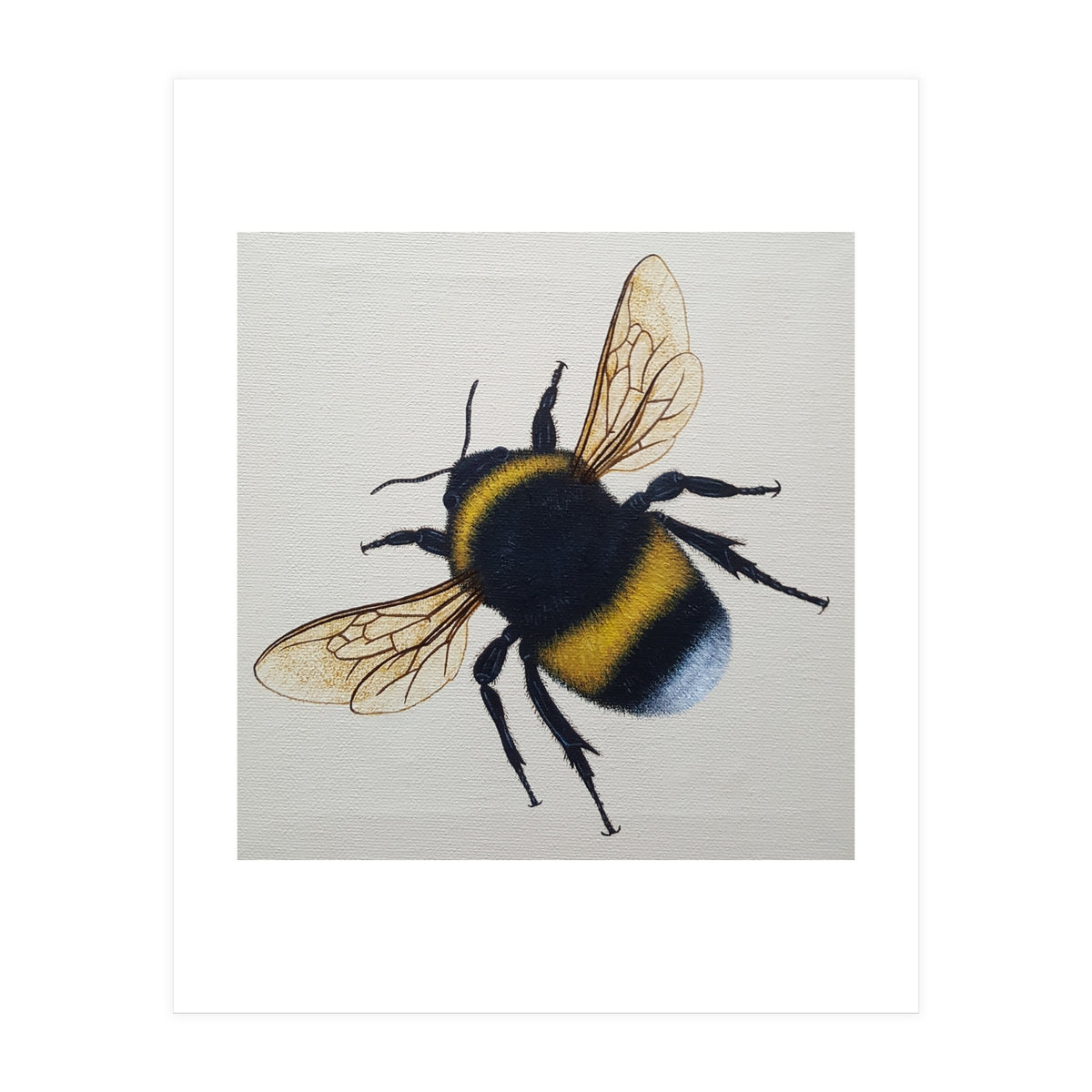 Bumblebee (Print Only)