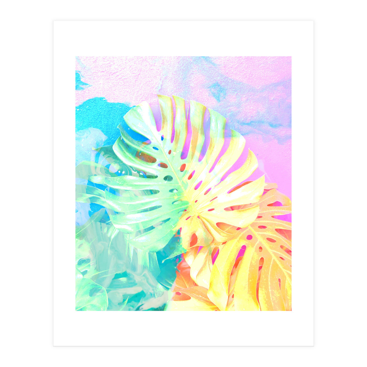 Umami (Print Only)