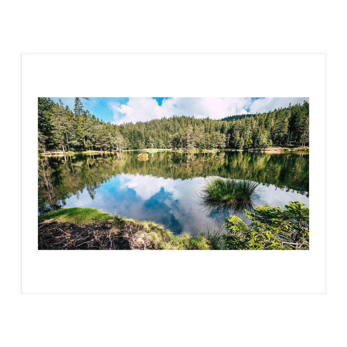 Calm (Print Only)