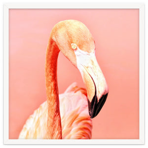 Pink Paradise by Lisa Argyropoulos