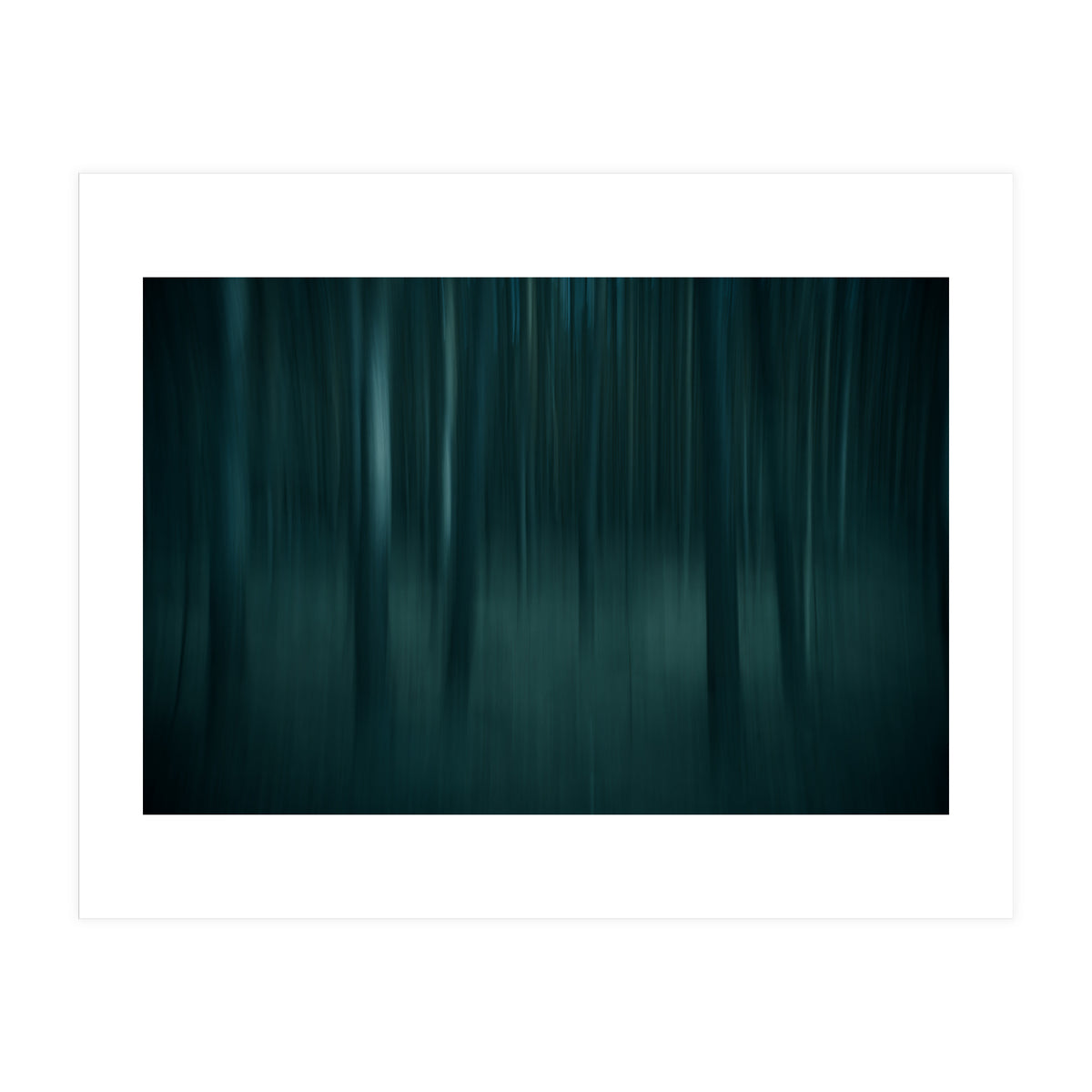 transience (Print Only)