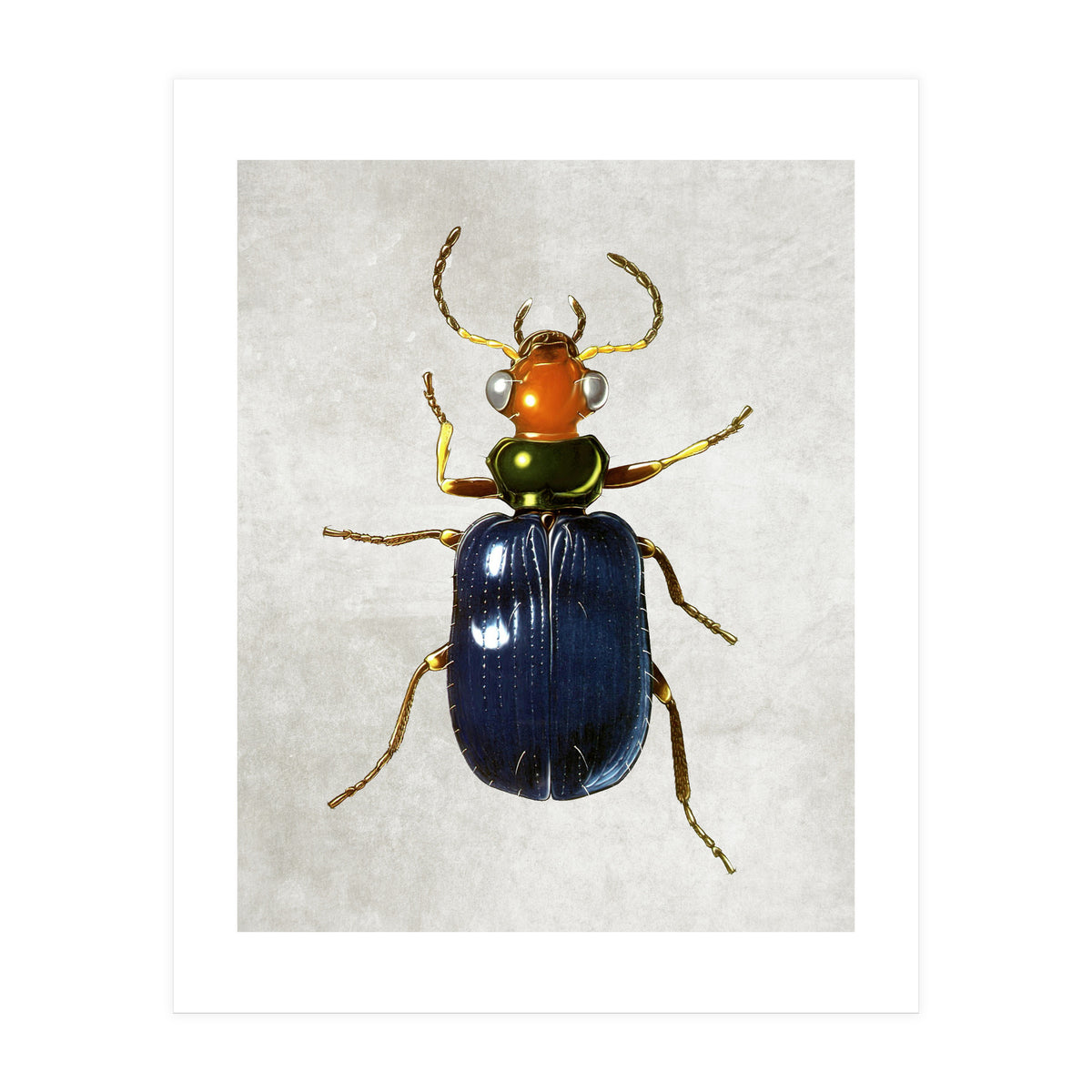 animal (Print Only)