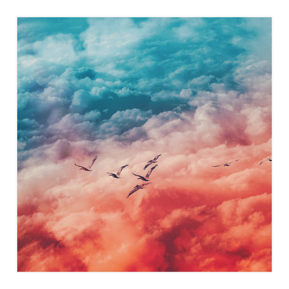 Above (Print Only)