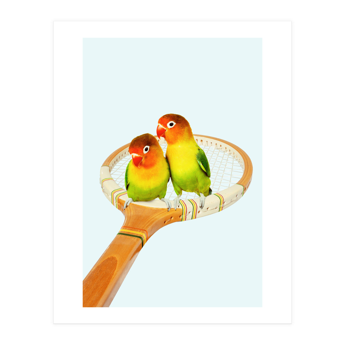 Retro Birds (Print Only)