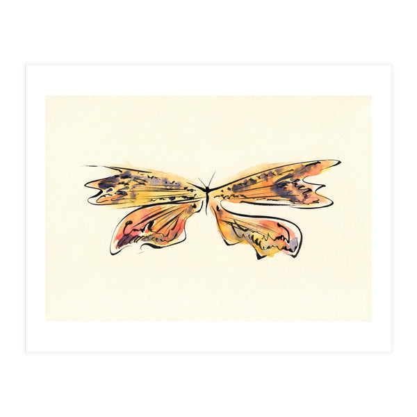 Ray (Print Only)