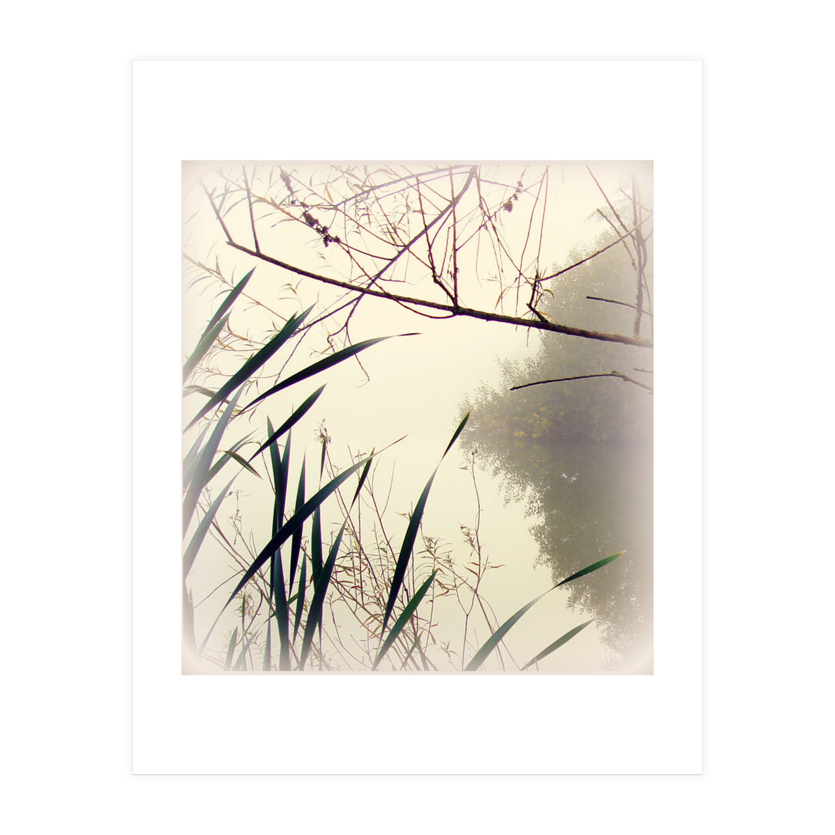 Quiet Waters (Print Only)