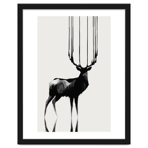 Deer by Animal Prints
