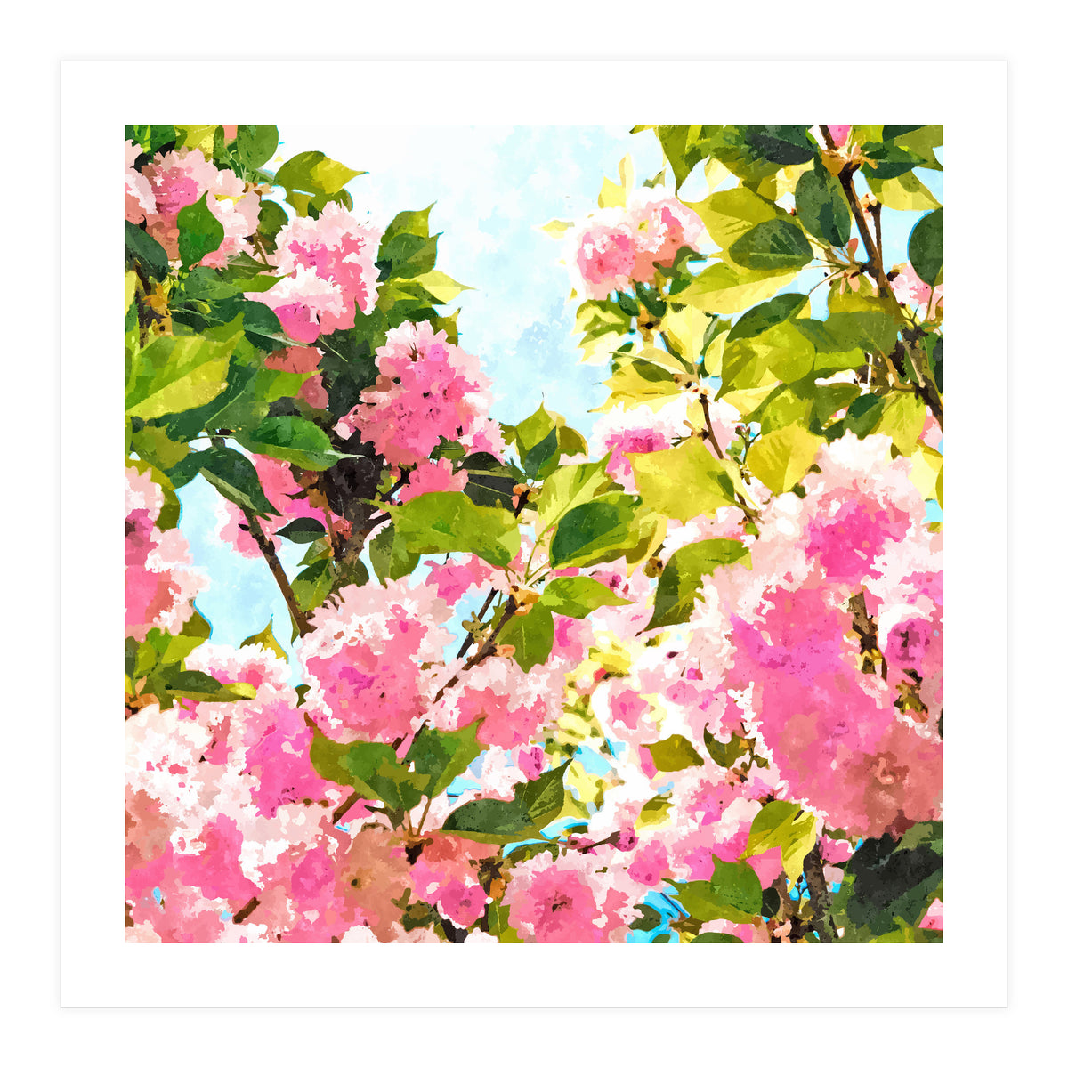 Day dreaming under the blooming Bougainvillea | Summer botanical Floral Vintage Garden Painting (Print Only)