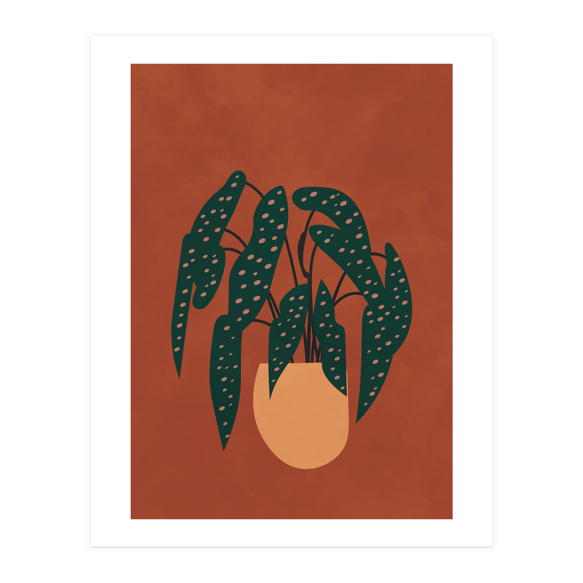 Boho Terracotta Begonia (Print Only)