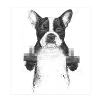 Censored Dog (Print Only)