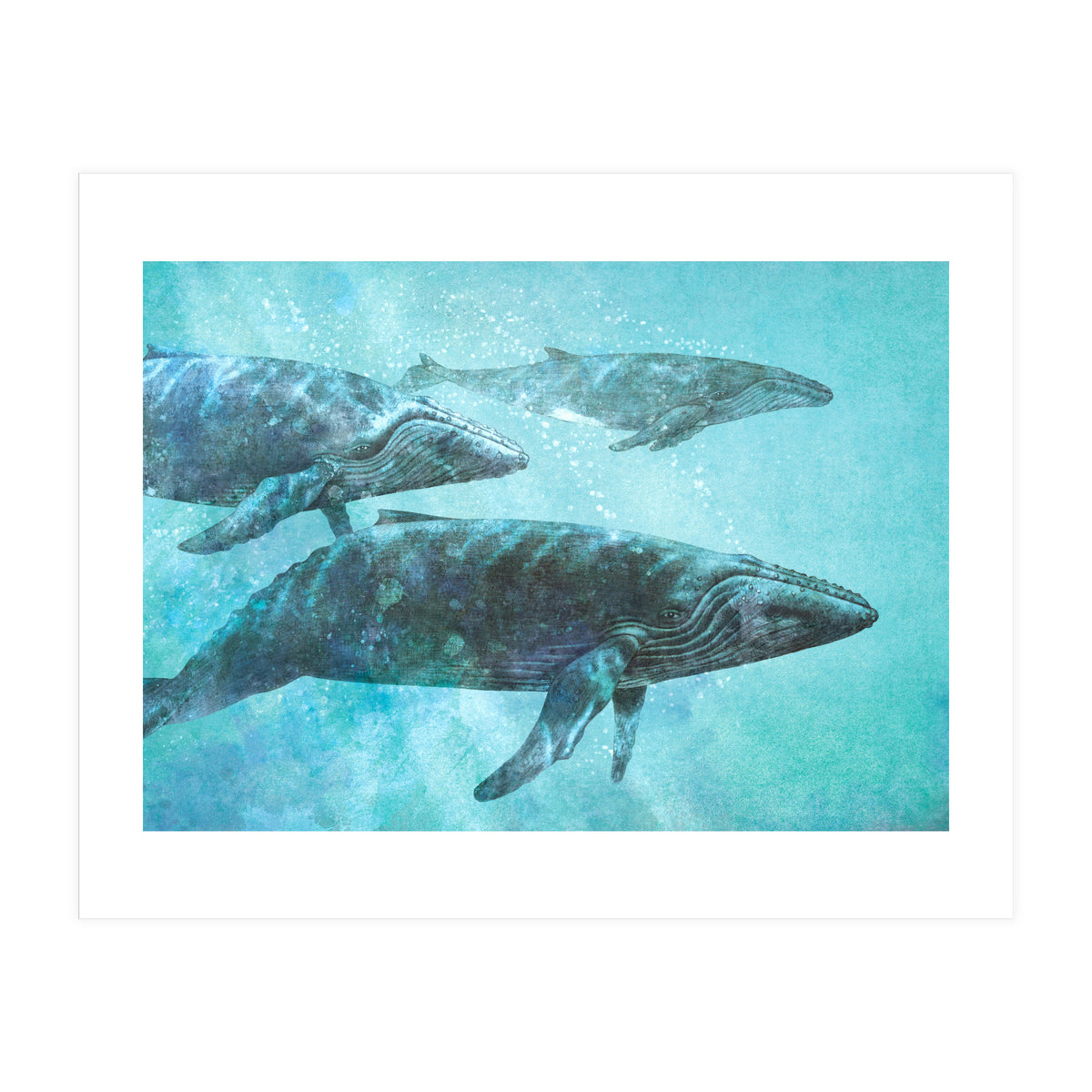 Pod (Print Only)